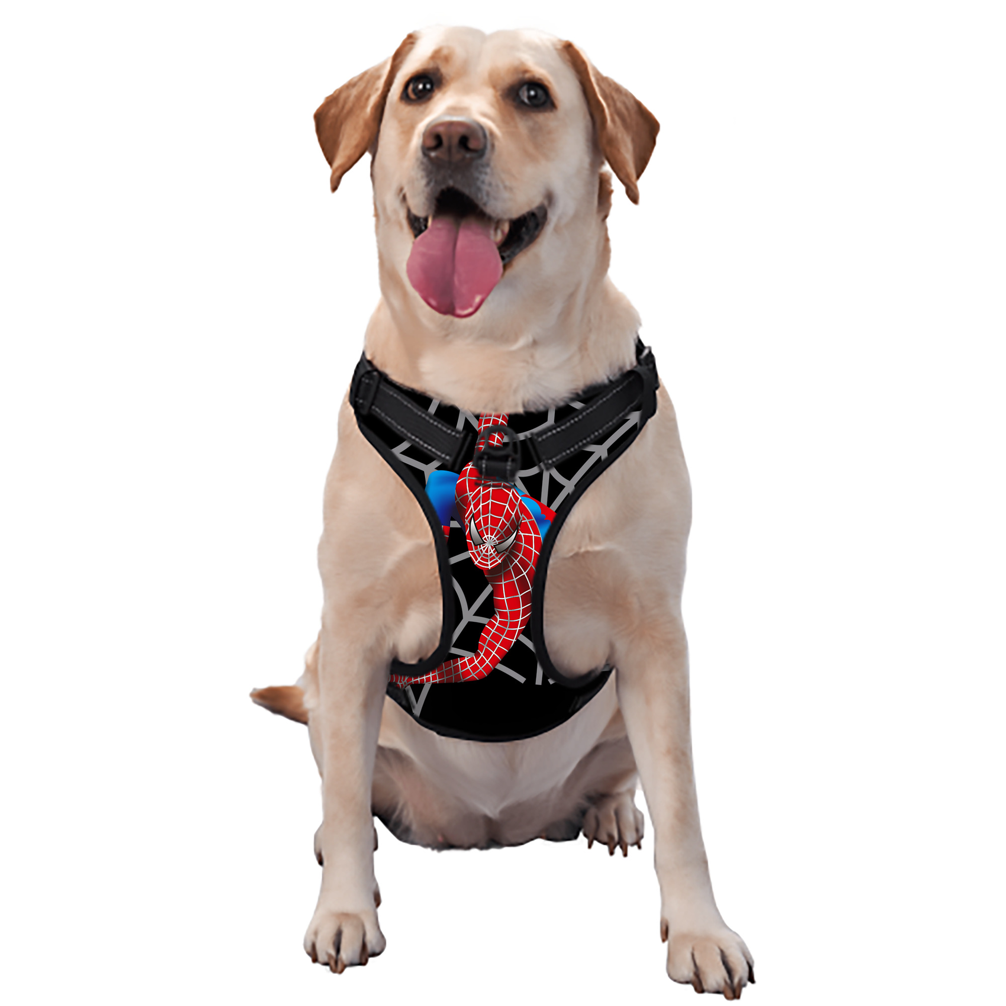 （画像用） Spider Man スパイダーマン ペット用ハーネス